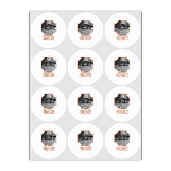 Pet Photo Drink Topper - Small - Set of 12