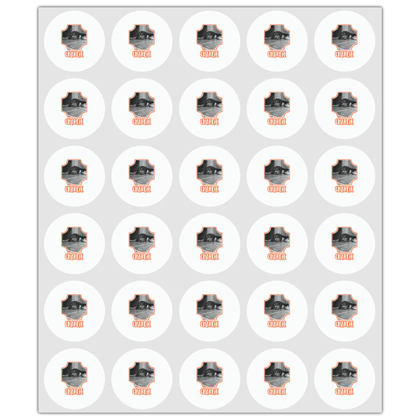 Pet Photo Drink Topper - XSmall - Set of 30