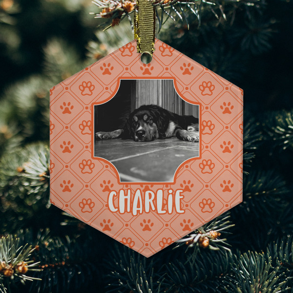 Pet Photo Frosted Glass Ornament - Hexagon (Lifestyle)