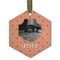 Pet Photo Frosted Glass Ornament - Hexagon