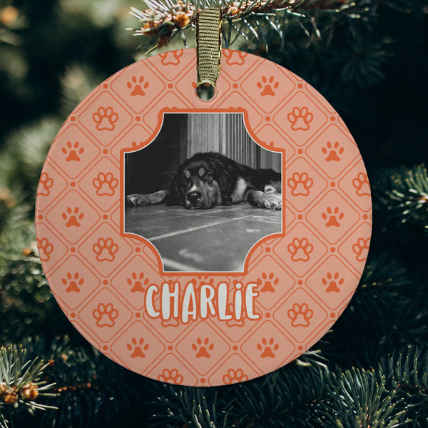 Pet Photo Frosted Glass Ornament - Round (Lifestyle)