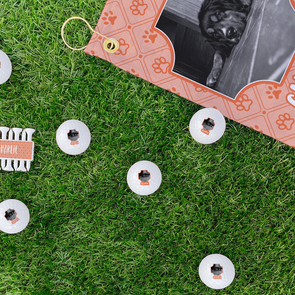 Pet Photo Golf Balls - Generic - Set of 12 - LIFESTYLE