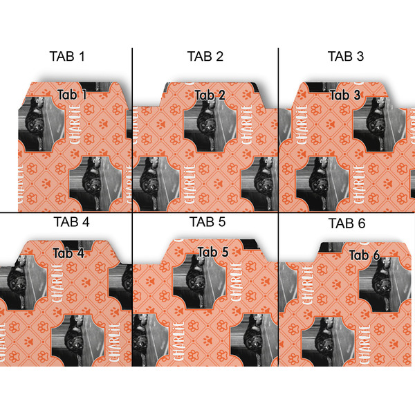 Pet Photo Page Dividers - Set of 6 - Approval