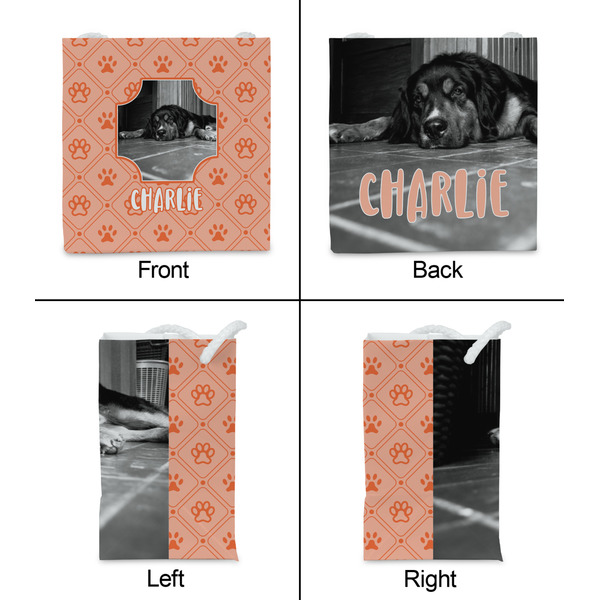 Pet Photo Party Favor Gift Bag - Gloss - Approval