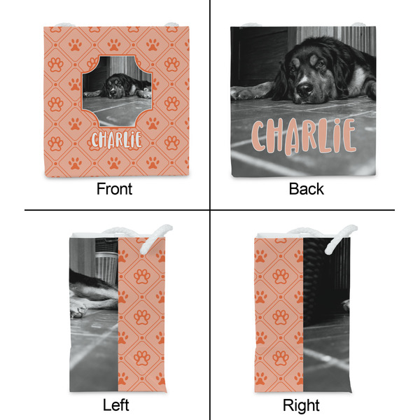 Pet Photo Party Favor Gift Bag - Matte - Approval