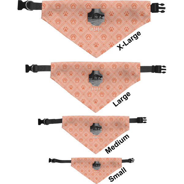 Pet Photo Pet Bandana Sizes