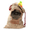 Pet Photo Santa Bag - Front (stuffed w toys) PARENT