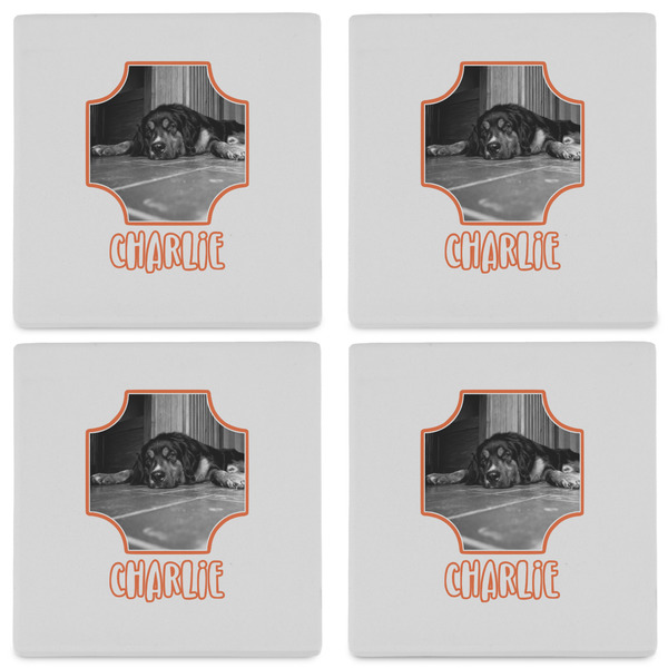 Pet Photo Set of 4 Sandstone Coasters - See All 4 View