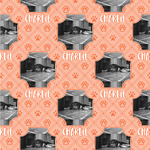 Pet Photo Wallpaper & Surface Covering (Water Activated 24"x 24" Sample)