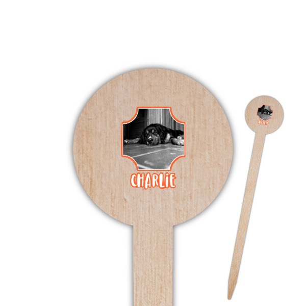 Custom Pet Photo Round Wooden Food Picks