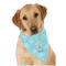 Sundance Yoga Studio Dog Bandana Scarf w/ Name or Text