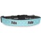 Sundance Yoga Studio Deluxe Dog Collar (Personalized)