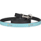 Sundance Yoga Studio Dog Leash (Personalized)