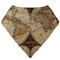 Vintage World Map Bandana Bib