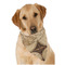 Vintage World Map Dog Bandana Scarf
