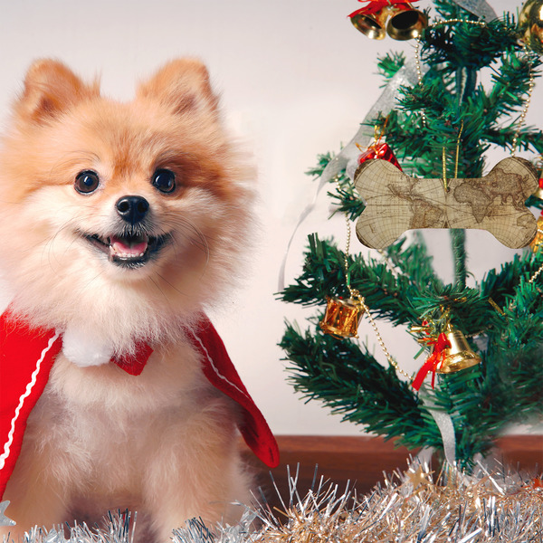 Vintage World Map Ceramic Flat Ornament - Bone (LIFESTYLE)