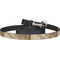 Vintage World Map Dog Leash