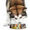 Dogs Playing Poker by C.M.Coolidge Plastic Pet Bowls - Large - LIFESTYLE