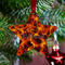 Fire Metal Star Ornament - Lifestyle