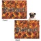Fire Microfleece Dog Blanket - Regular - Front & Back