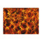 Fire Tissue Paper - Heavyweight - Large - Front