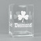 St. Patrick's Day Acrylic Pen Holder (Personalized)