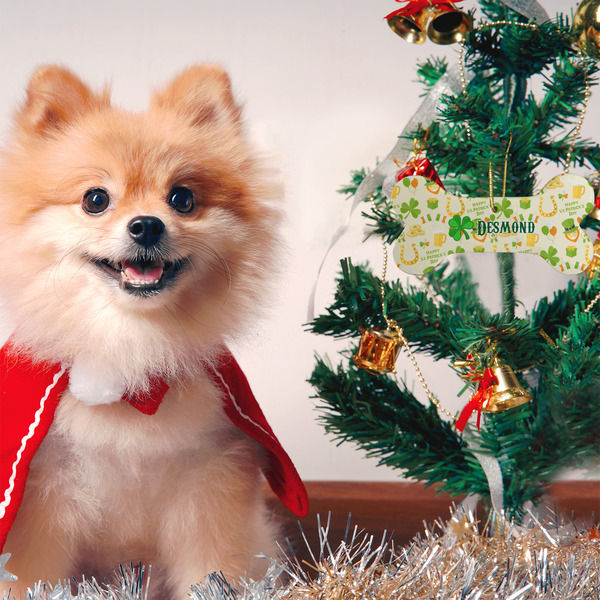 St. Patrick's Day Ceramic Flat Ornament - Bone (LIFESTYLE)