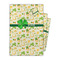St. Patrick's Day Gift Bags - Parent/Main