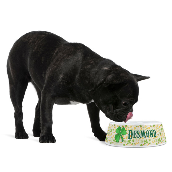 St. Patrick's Day Plastic Pet Bowls - Medium - LIFESTYLE