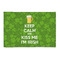 Kiss Me I'm Irish 2' x 3' Indoor Area Rug