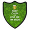 Kiss Me I'm Irish 3 Point Shield
