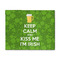 Kiss Me I'm Irish 8'x10' Indoor Area Rugs - Main