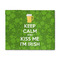 Kiss Me I'm Irish 8' x 10' Indoor Area Rug