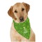 Kiss Me I'm Irish Dog Bandana Scarf