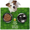 Kiss Me I'm Irish Dog Food Mat - Medium