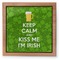 Kiss Me I'm Irish Pet Urn - Apvl
