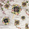 Boho Floral Party Supplies Combination Image - All items - Plates, Coasters, Fans