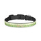 Tropical Leaves Border Dog Collar - Small (Personalized)