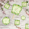 Tropical Leaves Border Party Supplies Combination Image - All items - Plates, Coasters, Fans