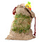 Tropical Leaves Border Santa Sack (Personalized)