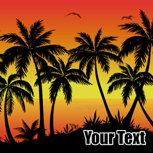 Tropical Sunset