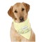 Nature Inspired Dog Bandana Scarf w/ Name or Text