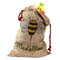 Nature Inspired Santa Bag - Front (stuffed w toys) PARENT