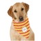 Fiesta - Cinco de Mayo Dog Bandana Scarf w/ Name or Text