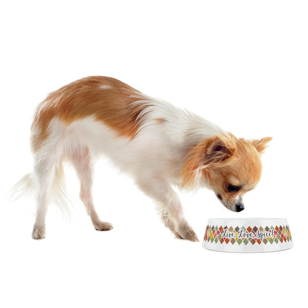 Spices Plastic Pet Bowls - Small - LIFESTYLE