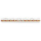 Spices Plastic Ruler - 12" - FRONT