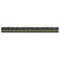 Herbs & Spices Plastic Ruler - 12" - FRONT