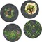 Herbs & Spices Set of Lunch / Dinner Plates