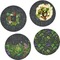 Herbs & Spices Set of 4 Glass Lunch / Dinner Plate 10" (Personalized)