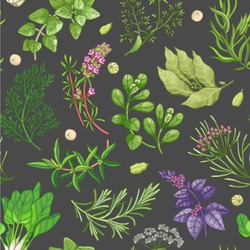 Herbs & Spices Wallpaper & Surface Covering (Peel & Stick 24"x 24" Sample)